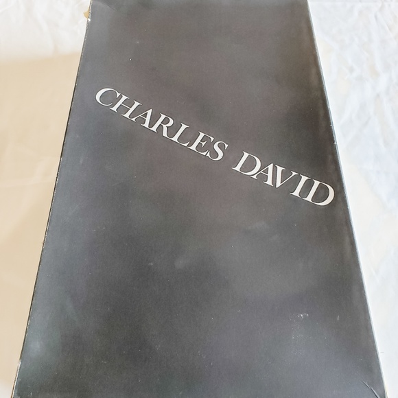 Emily in Paris Inspo: Charles David Boots - Picture 6 of 8